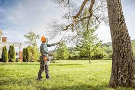 Best Firewood Processing and Delivery  in Benbrook, TX