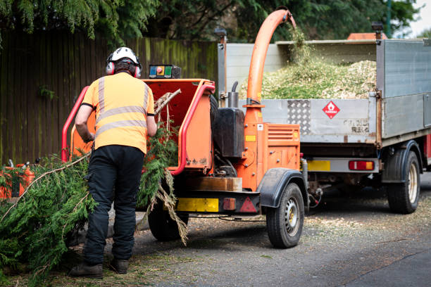 Best Weed Control  in Benbrook, TX
