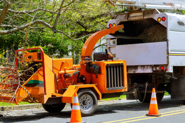  Benbrook, TX Tree Services Pros