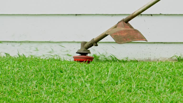 Best Pest Control for Lawns  in Benbrook, TX