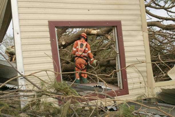 Best Hazardous Tree Removal  in Benbrook, TX